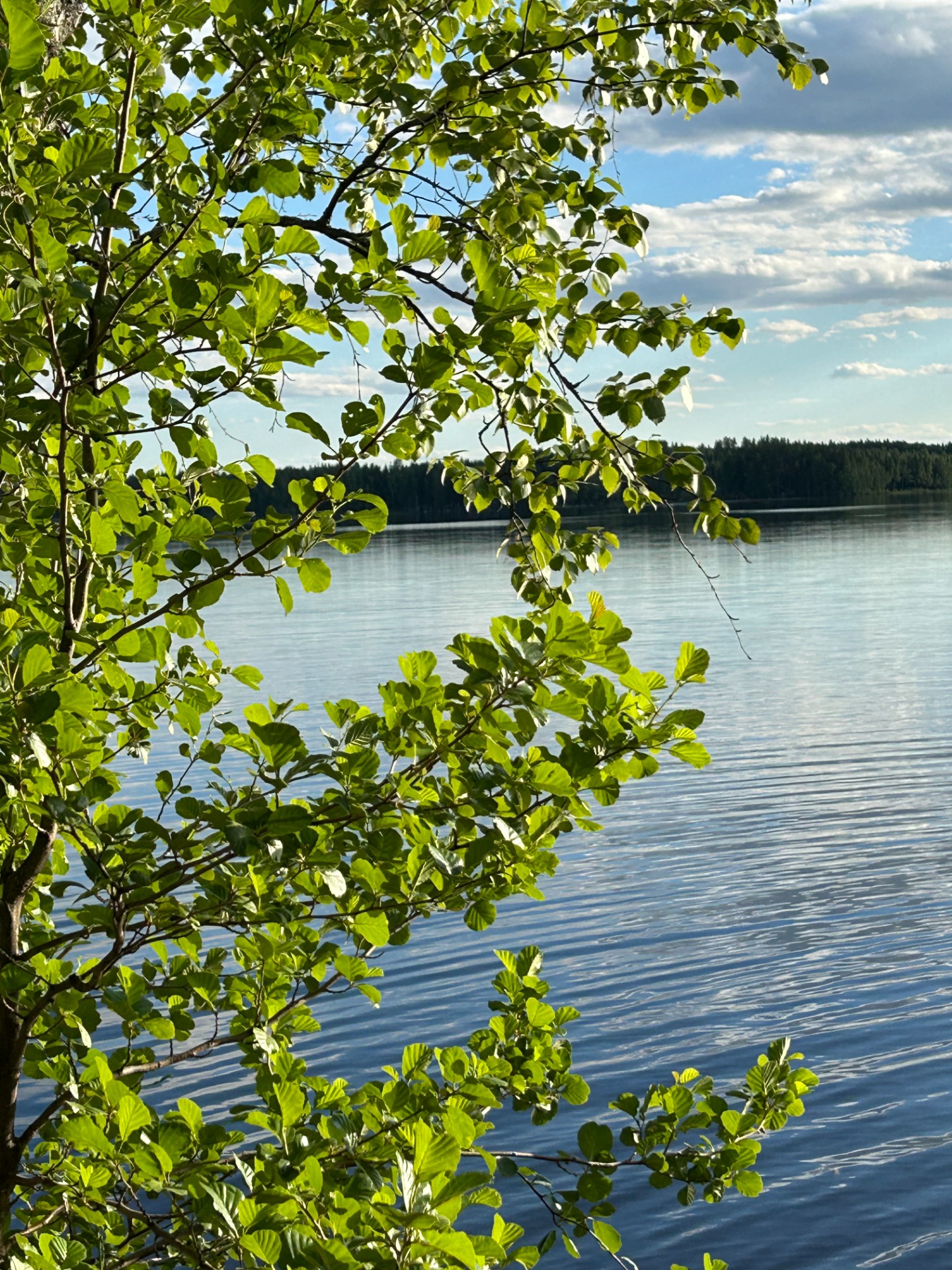 Kesä 2026